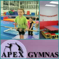apex-Gymnastics-birthday-party-places-in-va