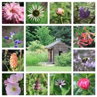 beagle-ridge-herb-farm-gardens--arboretums-in-va