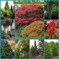 boxerwood-gardens-gardens--arboretums-in-va