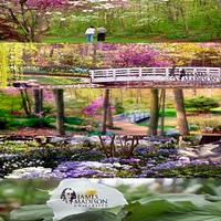 edith-j-carrier-arboretum-at-james-madison-university-gardens--arboretums-in-va