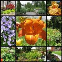 state-arboretum-of-virginia-museum-gardens--arboretums-in-va