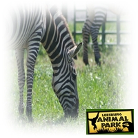 leesburg-animal-park-animal-party-entertainment-services-in-virginia