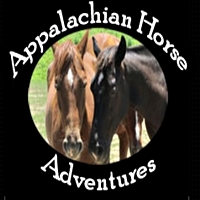 Appalachian Horse Horseback Riding in Virginia