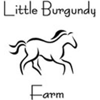 Little Burgundy Farm Stables Horseback Riding in Virginia