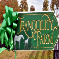 Tranquility Farm Equestrian Horseback Riding in Virginia