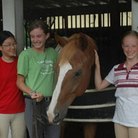 Twin Oaks Riding Academy Horseback Riding in Virginia